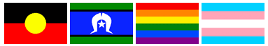 dvsm-support-flags