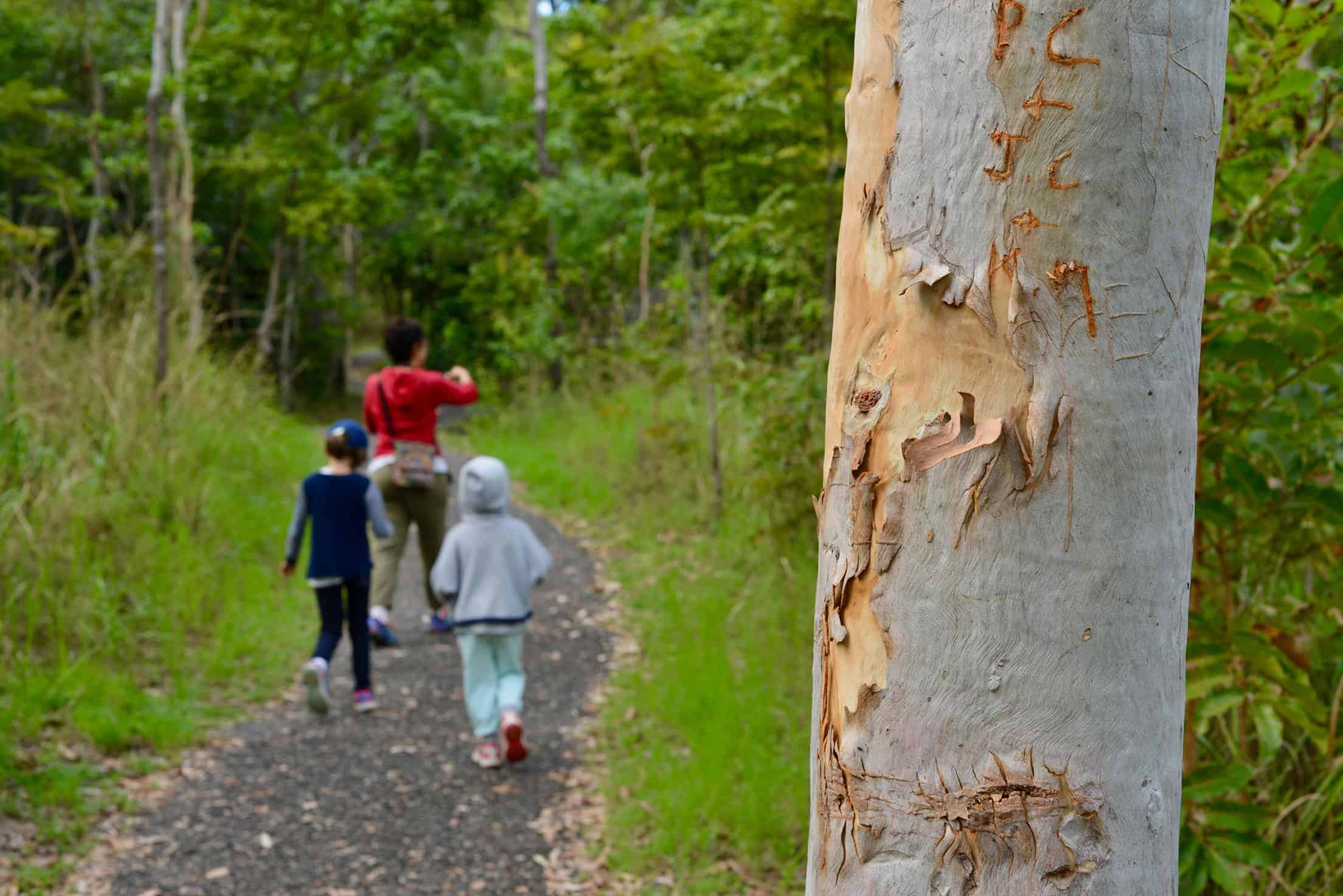 A-mother-and-children-walk-along-a-path-in-a-forest
